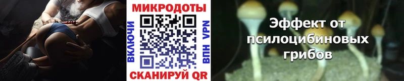сколько стоит  Трубчевск  Псилоцибиновые грибы Psilocybine cubensis 
